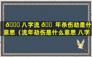 💐 八字流 🐠 年杀伤劫是什么意思（流年劫伤是什么意思 八字）